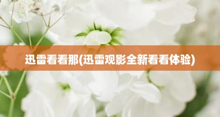 迅雷看看哪(迅雷观影全新看看体验)