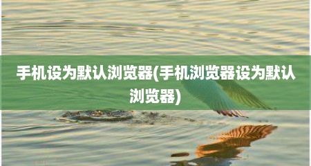 手机设为默认浏览器(手机浏览器设为默认浏览器)