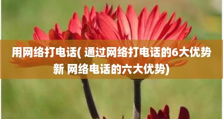 用网络打电话( 通过网络打电话的6大优势新 网络电话的六大优势)