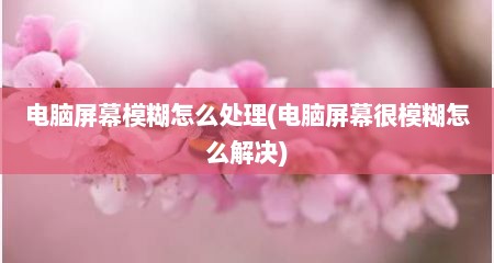 电脑屏幕模糊怎么处理(电脑屏幕很模糊怎么解决)