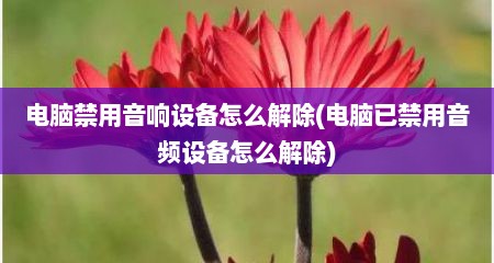 电脑禁用音响设备怎么解除(电脑已禁用音频设备怎么解除)