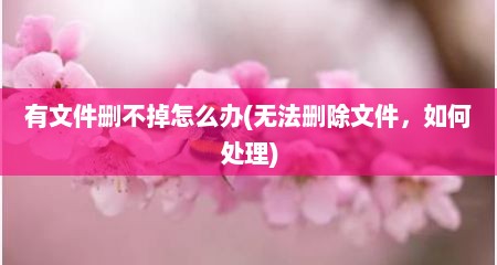 有文件删不掉怎么办(无法删除文件，如何处理)