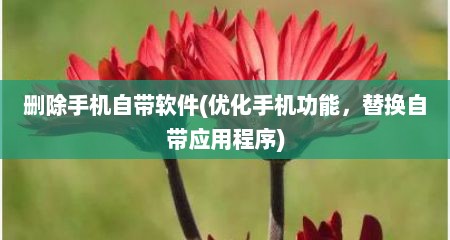 删除手机自带软件(优化手机功能，替换自带应用程序)