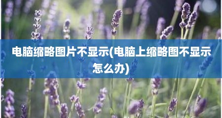 电脑缩略图片不显示(电脑上缩略图不显示怎么办)