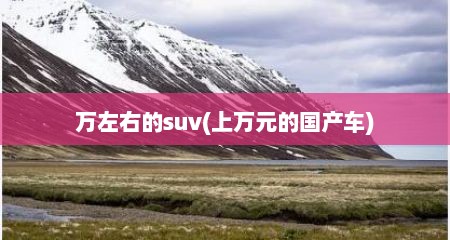 万左右的suv(上万元的国产车)