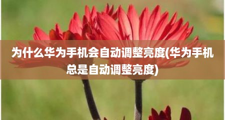 为什么华为手机会自动调整亮度(华为手机总是自动调整亮度)