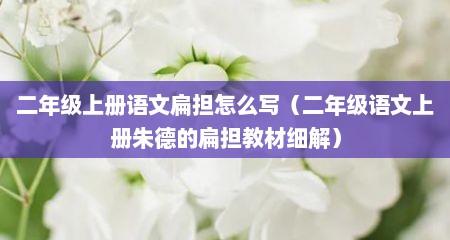 二年级上册语文扁担怎么写（二年级语文上册朱德的扁担教材细解）