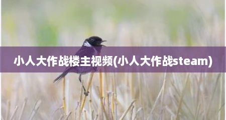 小人大作战楼主视频(小人大作战steam)