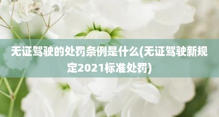 无证驾驶的处罚条例是什么(无证驾驶新规定2021标准处罚)