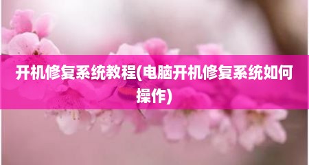 开机修复系统教程(电脑开机修复系统如何操作)