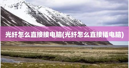 光纤怎么直接接电脑(光纤怎么直接插电脑)