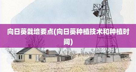向日葵栽培要点(向日葵种植技术和种植时间)