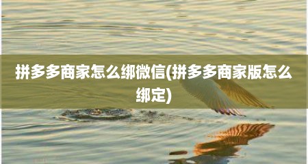 拼多多商家怎么绑微信(拼多多商家版怎么绑定)