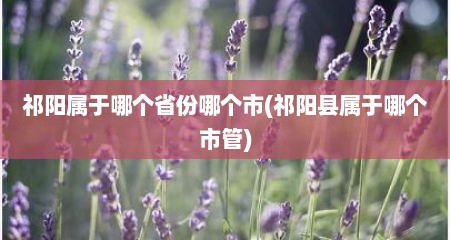 祁阳属于哪个省份哪个市(祁阳县属于哪个市管)