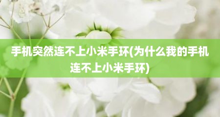 手机突然连不上小米手环(为什么我的手机连不上小米手环)
