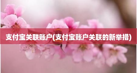 支付宝关联账户(支付宝账户关联的新举措)