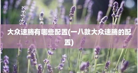 大众速腾有哪些配置(一八款大众速腾的配置)