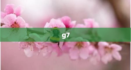 g7