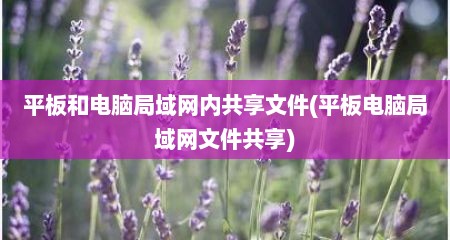 平板和电脑局域网内共享文件(平板电脑局域网文件共享)