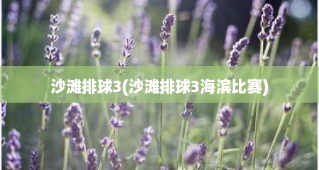 沙滩排球3(沙滩排球3海滨比赛)