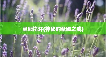 圣殿指环(神秘的圣殿之戒)
