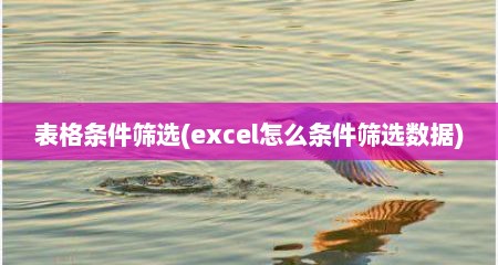 表格条件筛选(excel怎么条件筛选数据)