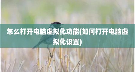 怎么打开电脑虚拟化功能(如何打开电脑虚拟化设置)