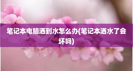 笔记本电脑洒到水怎么办(笔记本洒水了会坏吗)