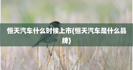 恒天汽车什么时候上市(恒天汽车是什么品牌)