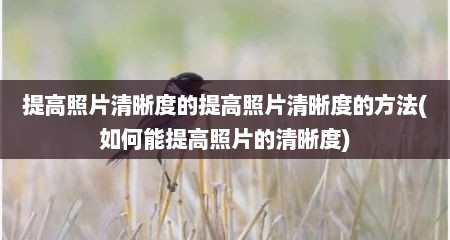 提高照片清晰度的提高照片清晰度的方法(如何能提高照片的清晰度)