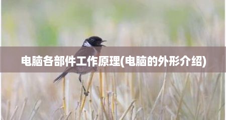 电脑各部件工作原理(电脑的外形介绍)