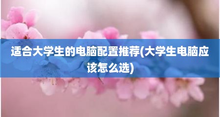 适合大学生的电脑配置推荐(大学生电脑应该怎么选)