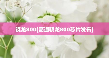 骁龙800(高通骁龙800芯片发布)