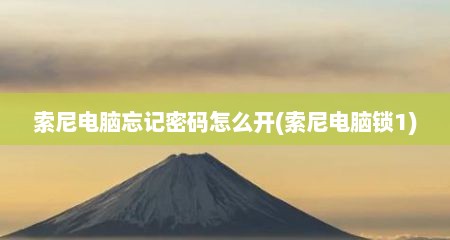 索尼电脑忘记密码怎么开(索尼电脑锁1)