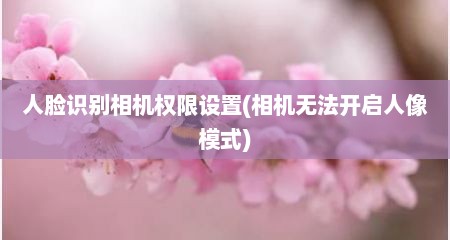人脸识别相机权限设置(相机无法开启人像模式)