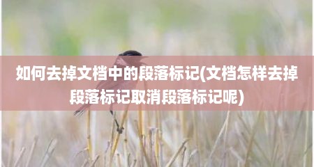 如何去掉文档中的段落标记(文档怎样去掉段落标记取消段落标记呢)
