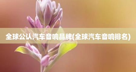 全球公认汽车音响品牌(全球汽车音响排名)