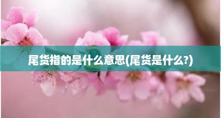 尾货指的是什么意思(尾货是什么?)