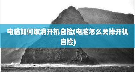 电脑如何取消开机自检(电脑怎么关掉开机自检)