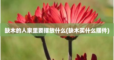 缺木的人家里要摆放什么(缺木买什么摆件)