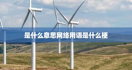 是什么意思网络用语是什么梗