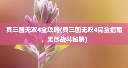 真三国无双4全攻略(真三国无双4完全指南，无尽战斗秘籍)