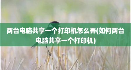 两台电脑共享一个打印机怎么弄(如何两台电脑共享一个打印机)