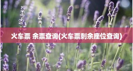 火车票 余票查询(火车票剩余座位查询)