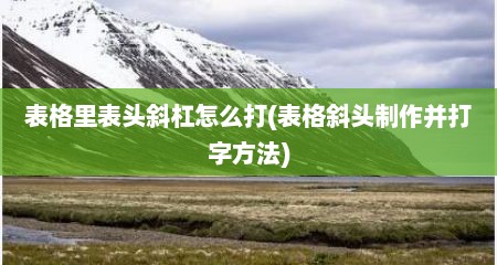 表格里表头斜杠怎么打(表格斜头制作并打字方法)