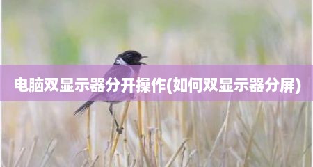 电脑双显示器分开操作(如何双显示器分屏)