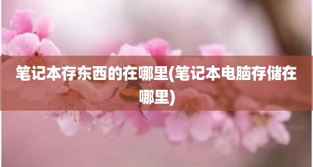 笔记本存东西的在哪里(笔记本电脑存储在哪里)