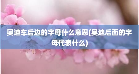 奥迪车后边的字母什么意思(奥迪后面的字母代表什么)