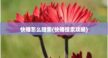 快播怎么搜索(快播搜索攻略)