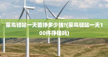 菜鸟驿站一天能挣多少钱?(菜鸟驿站一天100件挣钱吗)